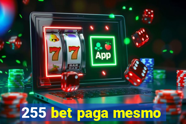 255 bet paga mesmo